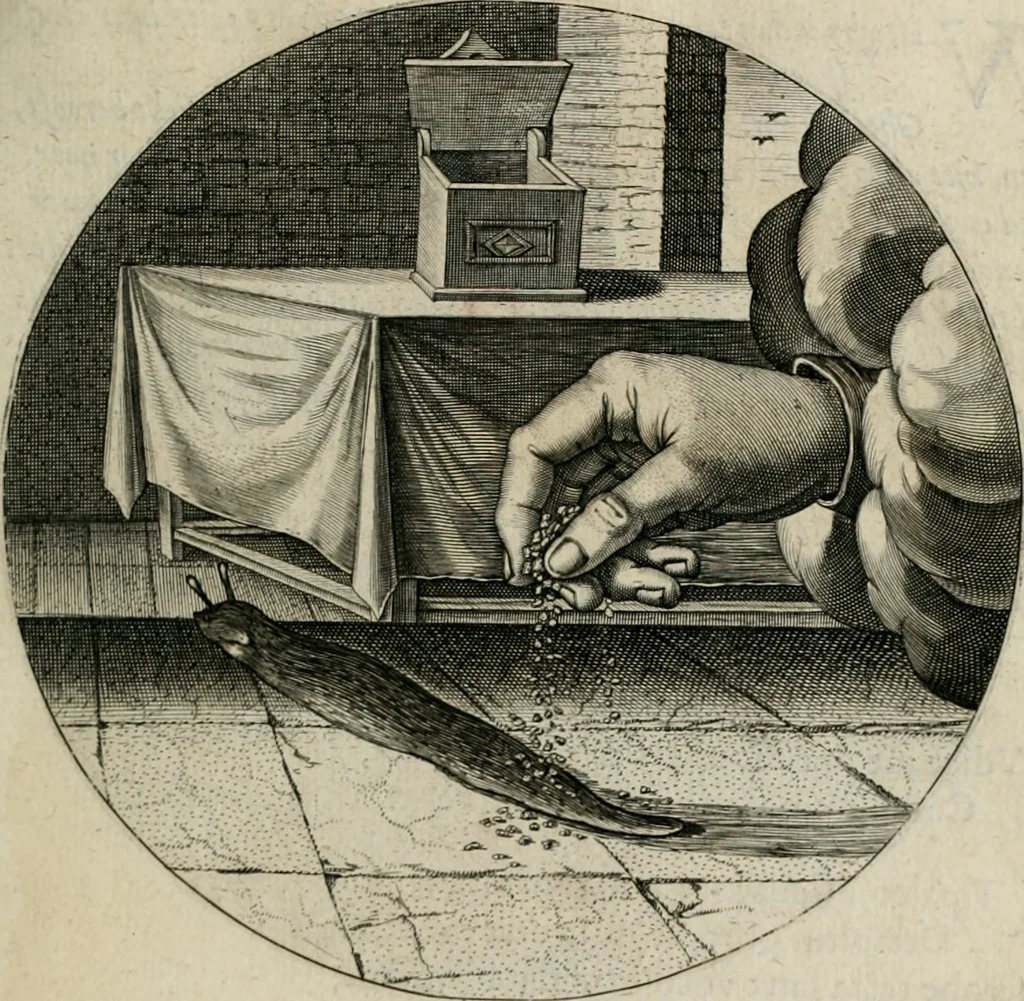 An illustration from Iacobi Catzii ... Silenus Alcibiades, sive Proteus:, 1618, leaf 446
