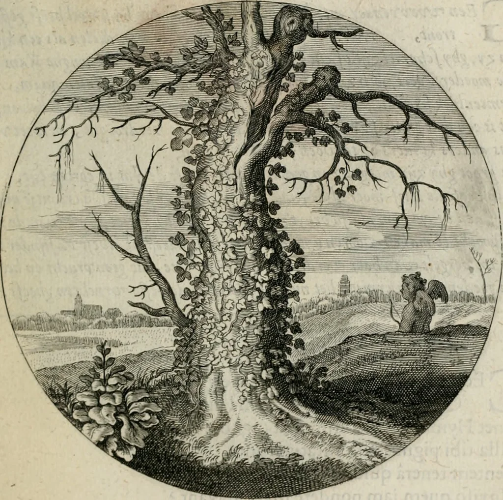 An illustration from Iacobi Catzii ... Silenus Alcibiades, sive Proteus:, 1618, leaf 482
