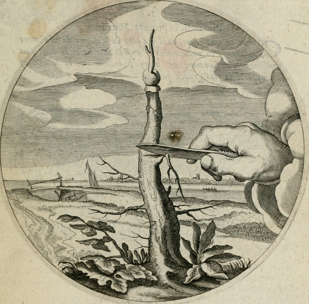 An illustration from Iacobi Catzii ... Silenus Alcibiades, sive Proteus:, 1618, leaf 490