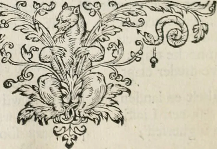 An illustration from Iacobi Catzii ... Silenus Alcibiades, sive Proteus:, 1618, leaf 493