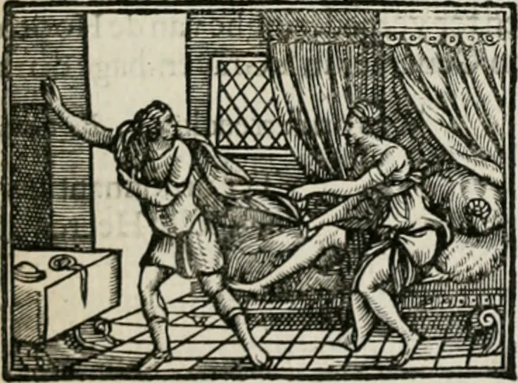 An illustration from Iacobi Catzii ... Silenus Alcibiades, sive Proteus:, 1618, leaf 514