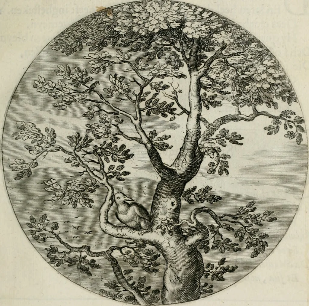 An illustration from Iacobi Catzii ... Silenus Alcibiades, sive Proteus:, 1618, leaf 54