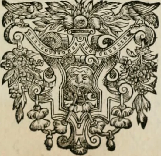 An illustration from Iacobi Catzii ... Silenus Alcibiades, sive Proteus:, 1618, leaf 650