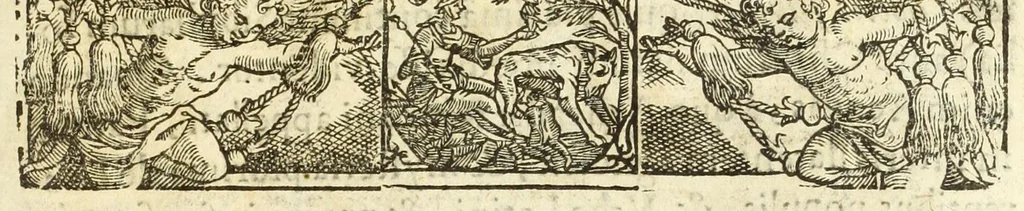 An illustration from Iacobi Hugonis Can. Theol. Belgae insulensis Vera historia Romana, seu, Origo Latij vel Italie ac Romanae vrbis : e tenebris longae vetustatis in lucem producta : qui primordia Europae, ac Latij primaeui annales demonstrat, atque vubis conditae, 1655, leaf 9