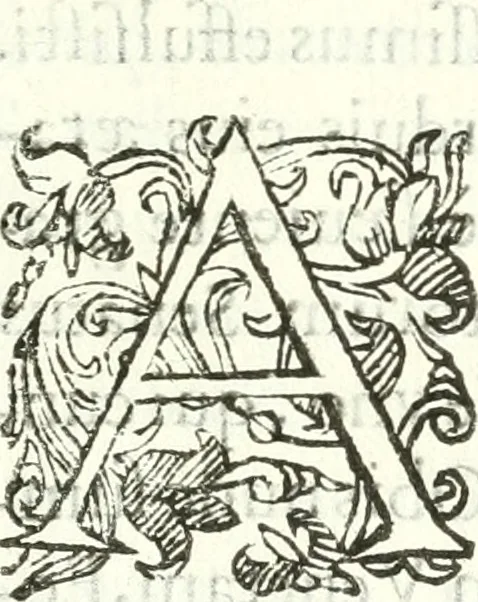 An illustration from Iacobi Philippi Tomasini patavini Illustrium virorum elogia, iconibus exornata, 1630, leaf 8