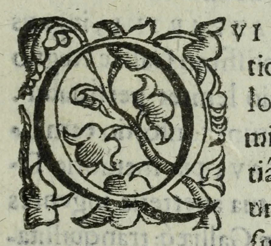 An illustration from Iacobi Philippi Tomasini patauini episcopi aemoniensis Elogia virorum literis & sapientia illustrium ad viuum expressis imaginibus exornata, 1644, leaf 11