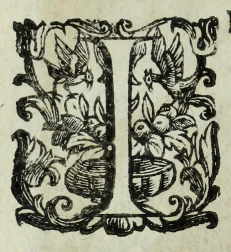 An illustration from Iacobi Philippi Tomasini patauini episcopi aemoniensis Elogia virorum literis & sapientia illustrium ad viuum expressis imaginibus exornata, 1644, leaf 114