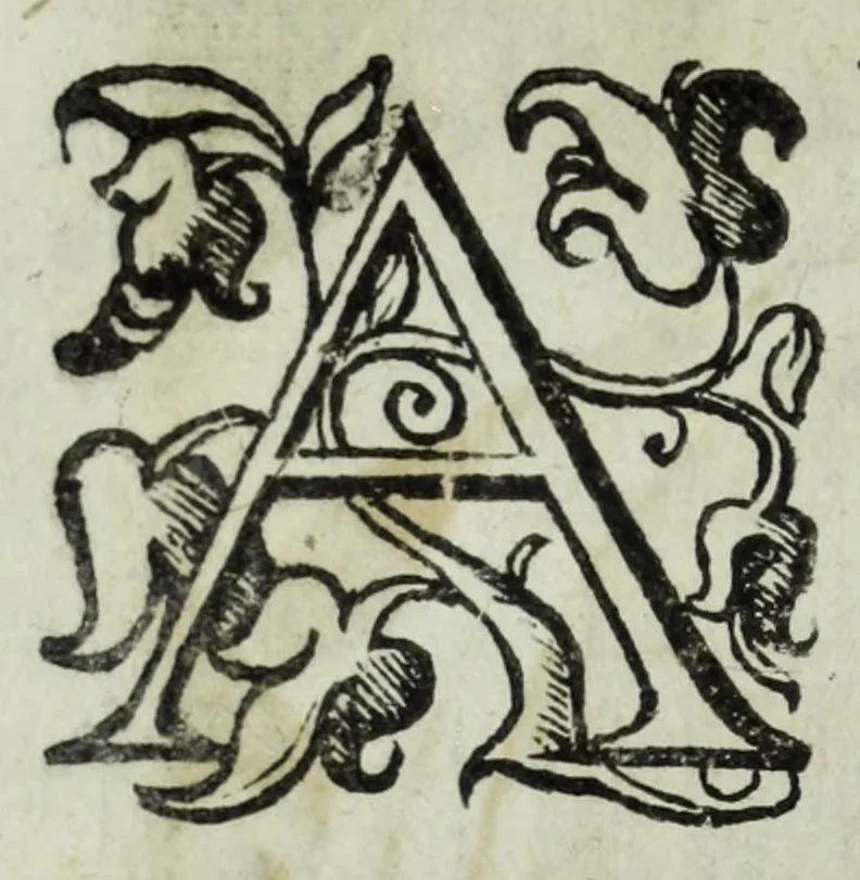 An illustration from Iacobi Philippi Tomasini patauini episcopi aemoniensis Elogia virorum literis & sapientia illustrium ad viuum expressis imaginibus exornata, 1644, leaf 118
