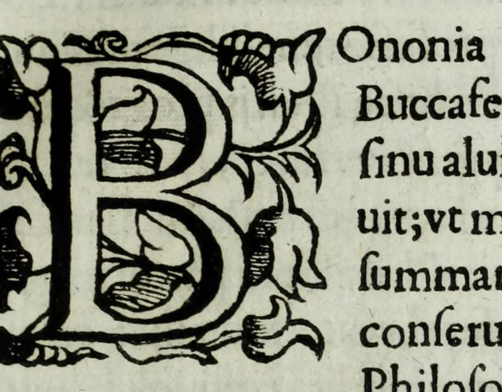 An illustration from Iacobi Philippi Tomasini patauini episcopi aemoniensis Elogia virorum literis & sapientia illustrium ad viuum expressis imaginibus exornata, 1644, leaf 135