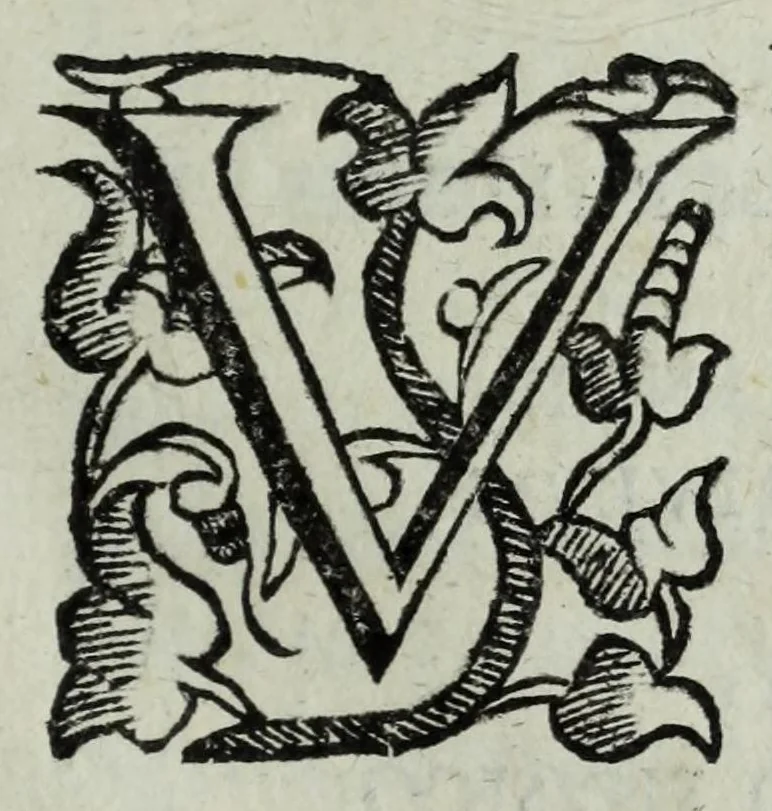 An illustration from Iacobi Philippi Tomasini patauini episcopi aemoniensis Elogia virorum literis & sapientia illustrium ad viuum expressis imaginibus exornata, 1644, leaf 191