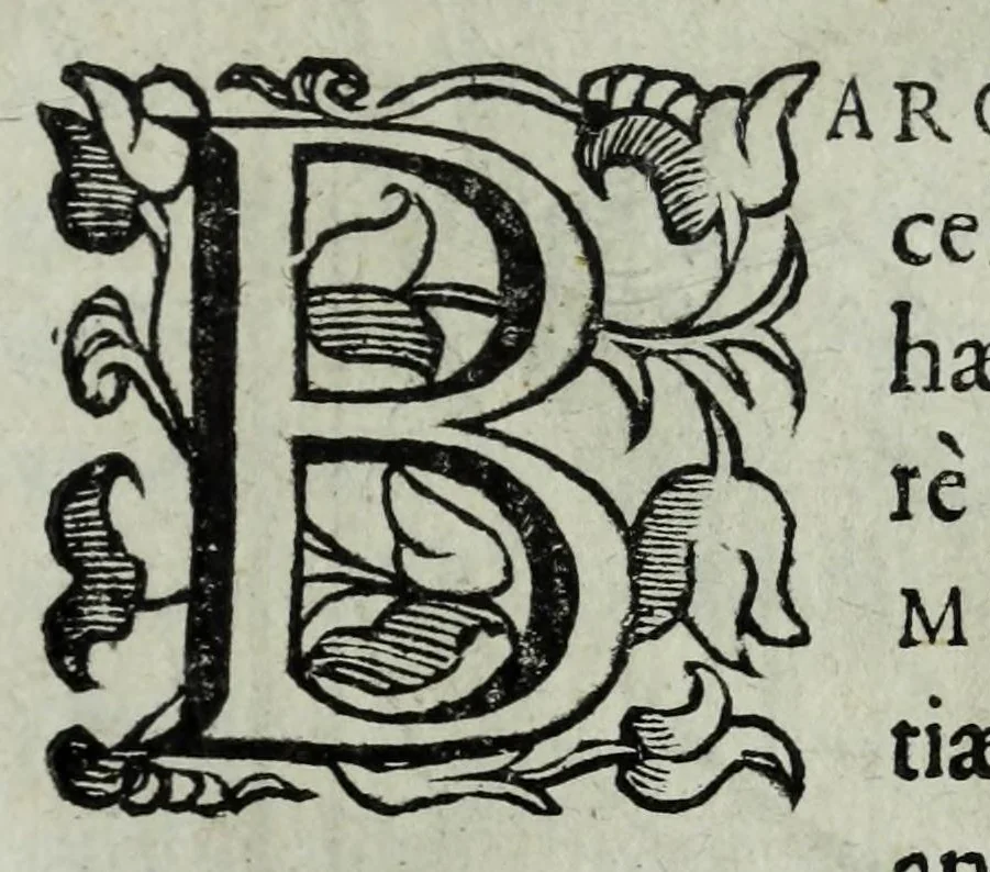 An illustration from Iacobi Philippi Tomasini patauini episcopi aemoniensis Elogia virorum literis & sapientia illustrium ad viuum expressis imaginibus exornata, 1644, leaf 195