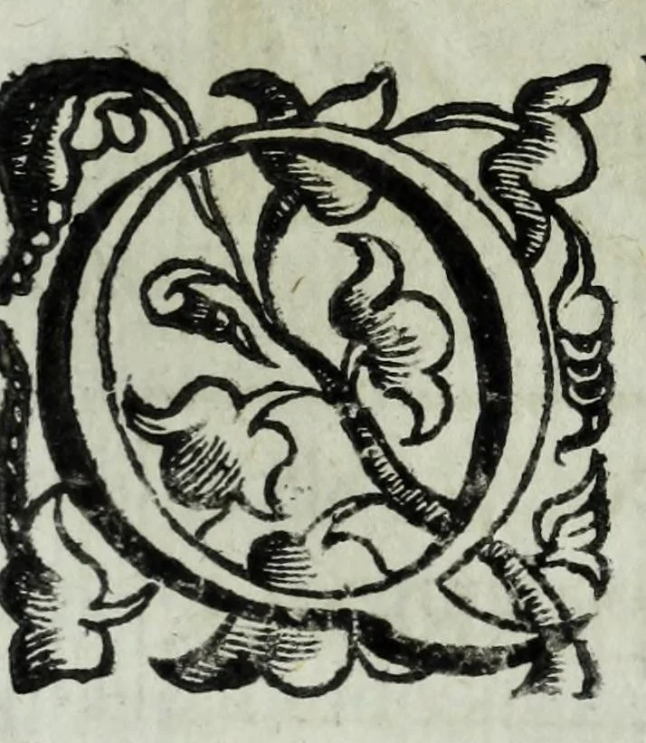An illustration from Iacobi Philippi Tomasini patauini episcopi aemoniensis Elogia virorum literis & sapientia illustrium ad viuum expressis imaginibus exornata, 1644, leaf 213