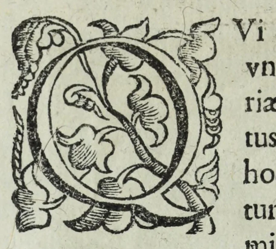 An illustration from Iacobi Philippi Tomasini patauini episcopi aemoniensis Elogia virorum literis & sapientia illustrium ad viuum expressis imaginibus exornata, 1644, leaf 22