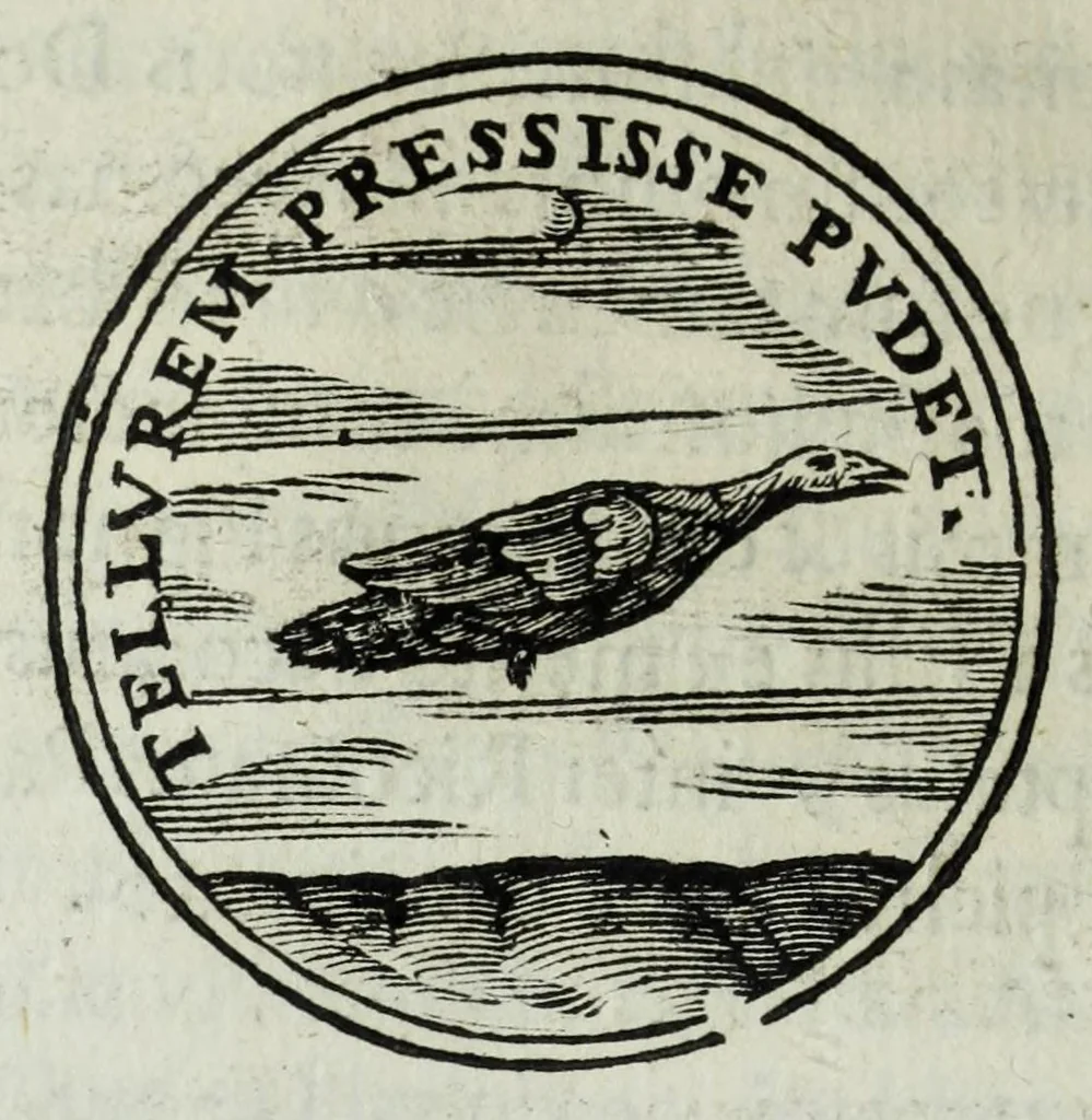 An illustration from Iacobi Philippi Tomasini patauini episcopi aemoniensis Elogia virorum literis & sapientia illustrium ad viuum expressis imaginibus exornata, 1644, leaf 220