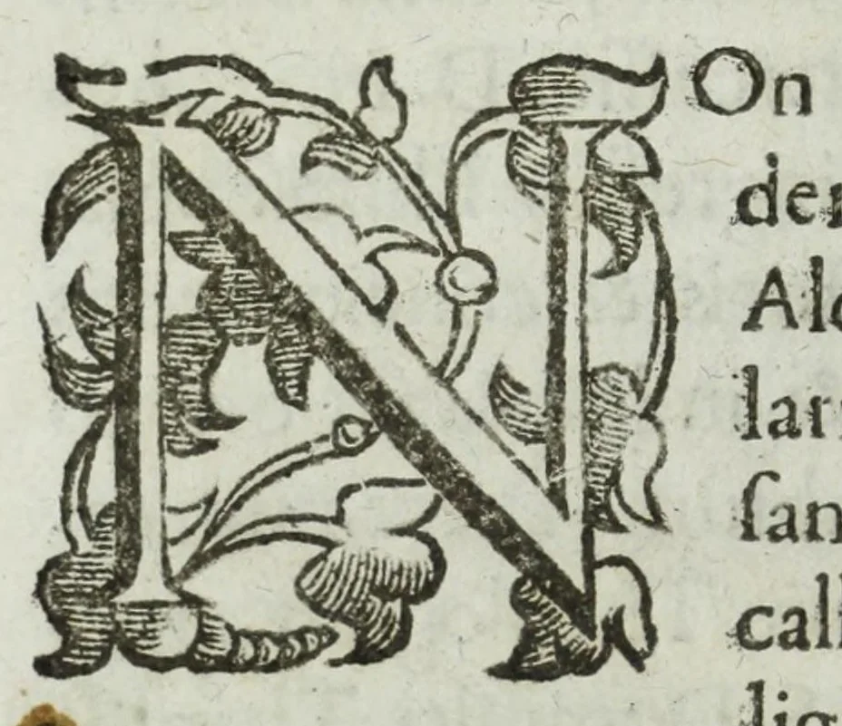 An illustration from Iacobi Philippi Tomasini patauini episcopi aemoniensis Elogia virorum literis & sapientia illustrium ad viuum expressis imaginibus exornata, 1644, leaf 270