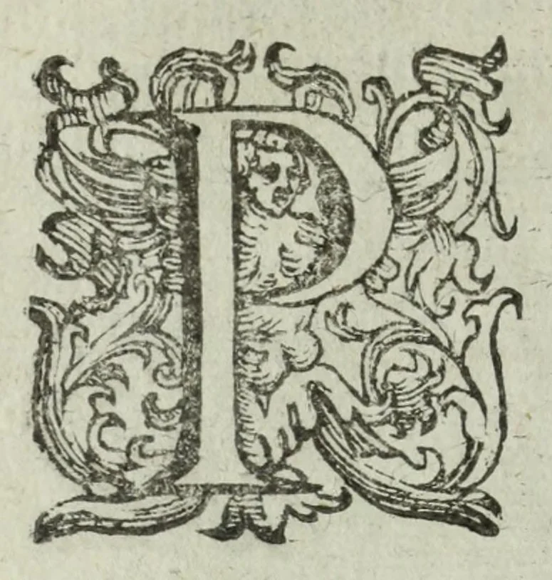 An illustration from Iacobi Philippi Tomasini patauini episcopi aemoniensis Elogia virorum literis & sapientia illustrium ad viuum expressis imaginibus exornata, 1644, leaf 28