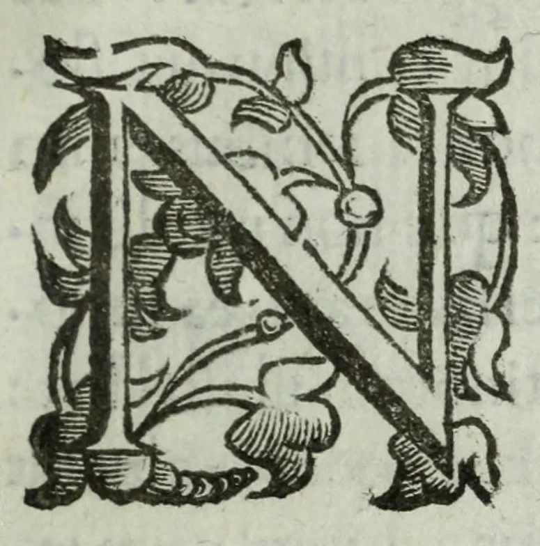 An illustration from Iacobi Philippi Tomasini patauini episcopi aemoniensis Elogia virorum literis & sapientia illustrium ad viuum expressis imaginibus exornata, 1644, leaf 283