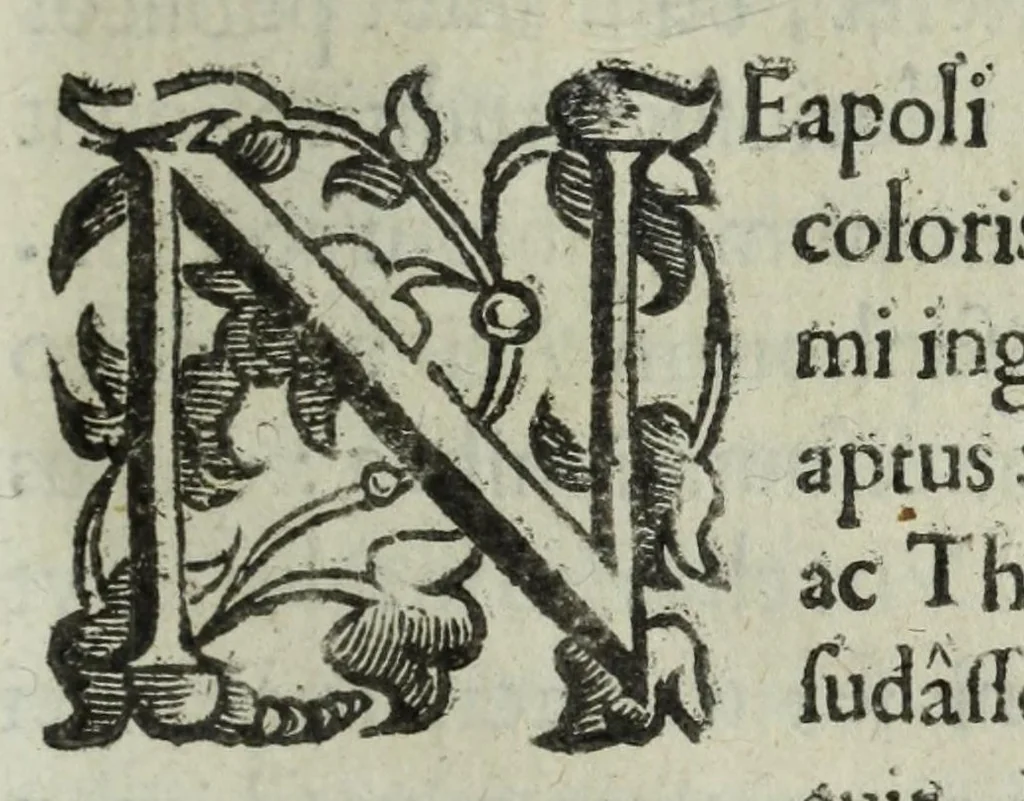 An illustration from Iacobi Philippi Tomasini patauini episcopi aemoniensis Elogia virorum literis & sapientia illustrium ad viuum expressis imaginibus exornata, 1644, leaf 325