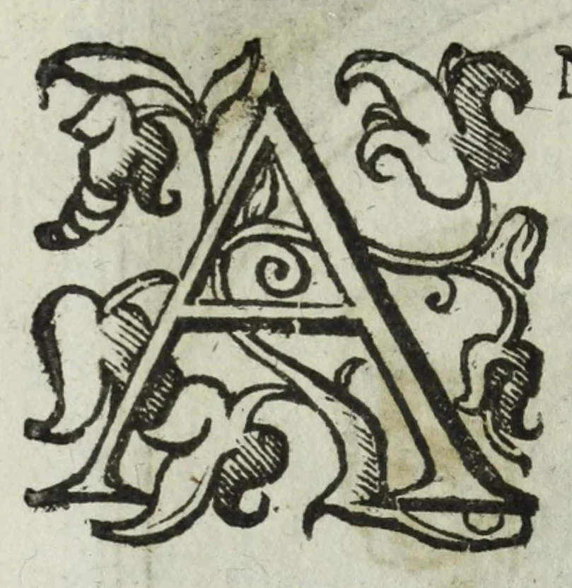 An illustration from Iacobi Philippi Tomasini patauini episcopi aemoniensis Elogia virorum literis & sapientia illustrium ad viuum expressis imaginibus exornata, 1644, leaf 354