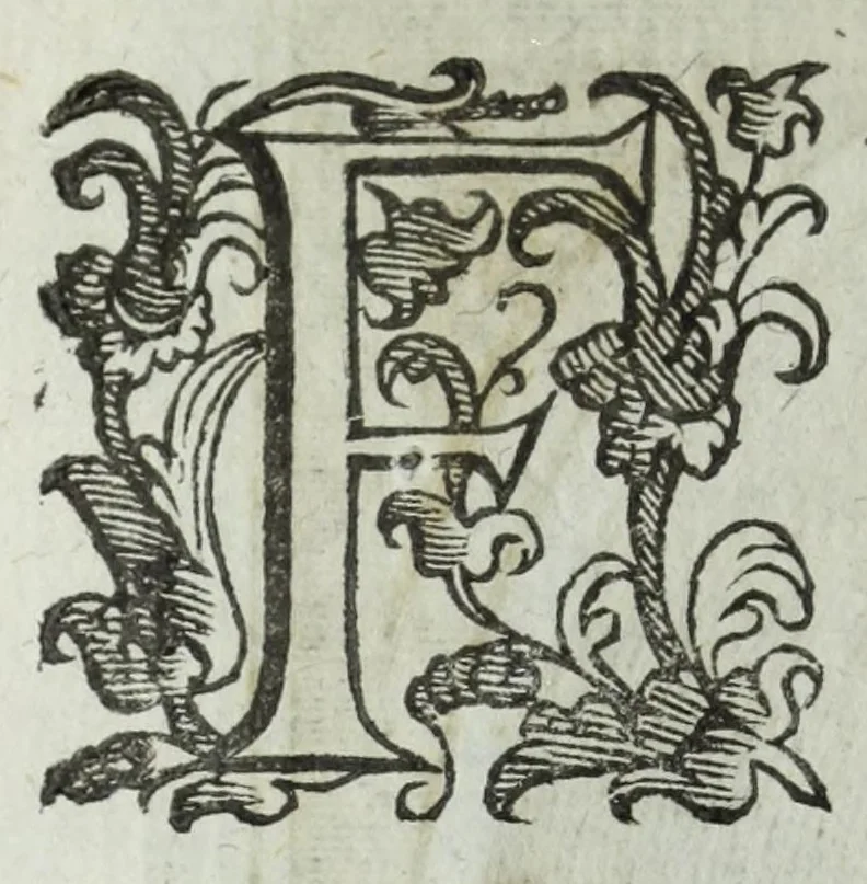An illustration from Iacobi Philippi Tomasini patauini episcopi aemoniensis Elogia virorum literis & sapientia illustrium ad viuum expressis imaginibus exornata, 1644, leaf 44