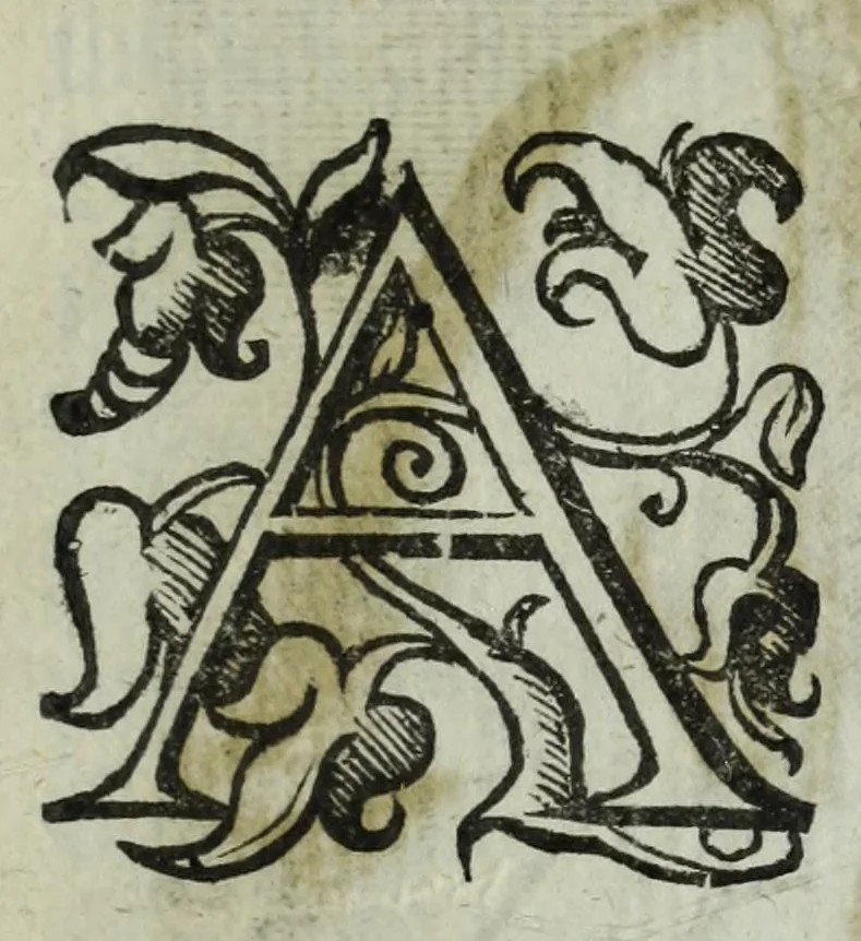 An illustration from Iacobi Philippi Tomasini patauini episcopi aemoniensis Elogia virorum literis & sapientia illustrium ad viuum expressis imaginibus exornata, 1644, leaf 53