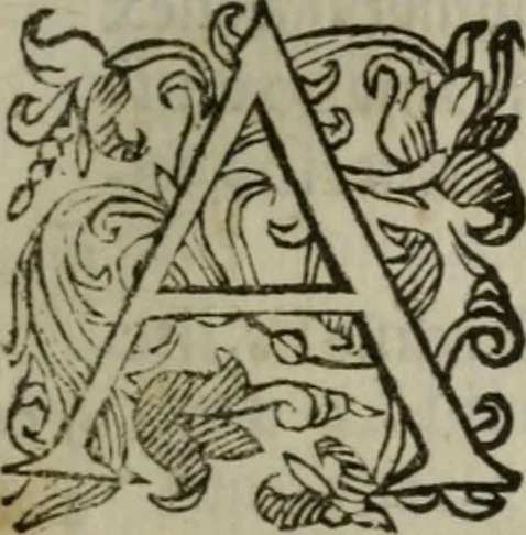 An illustration from Iacobi Philippi Tomasini Patavini Illvstrivm virorvm elogia iconibvs exornata .., 1630, leaf 392