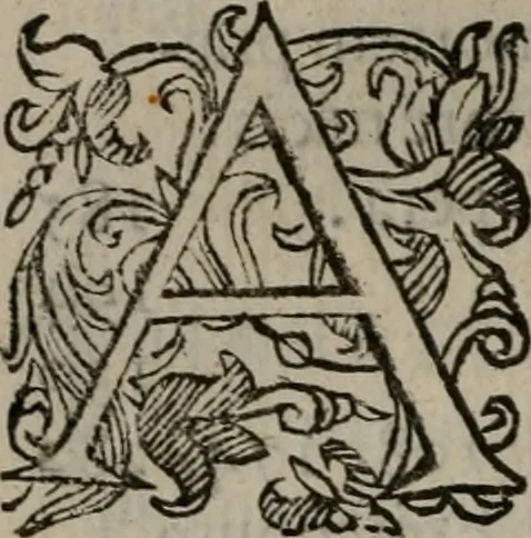 An illustration from Iacobi Philippi Tomasini Patavini Illvstrivm virorvm elogia iconibvs exornata .., 1630, leaf 419