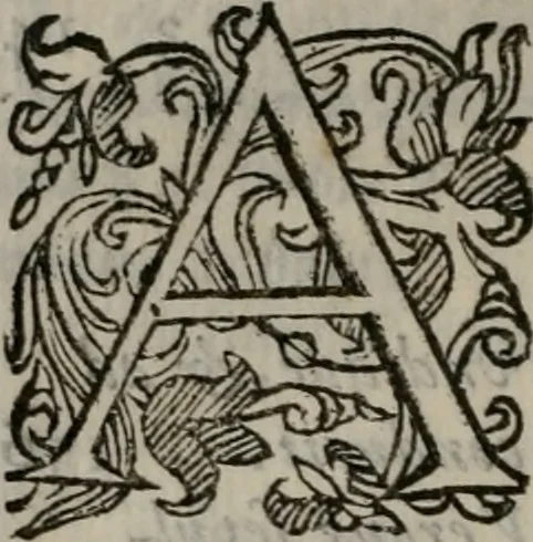 An illustration from Iacobi Philippi Tomasini Patavini Illvstrivm virorvm elogia iconibvs exornata .., 1630, leaf 427