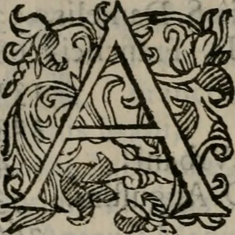 An illustration from Iacobi Philippi Tomasini Patavini Illvstrivm virorvm elogia iconibvs exornata .., 1630, leaf 435