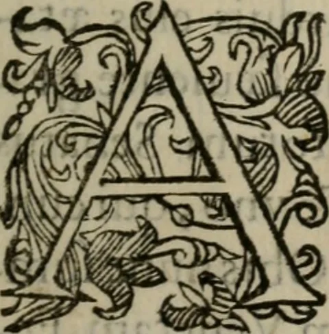 An illustration from Iacobi Philippi Tomasini Patavini Illvstrivm virorvm elogia iconibvs exornata .., 1630, leaf 8