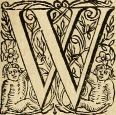 An illustration from Ian Harmensz Kruls Minne-spiegel ter deughden, 1639, leaf 182