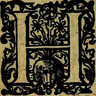 An illustration from Ian Harmensz Kruls. Minne-spiegel ter deughden, 1639, leaf 136