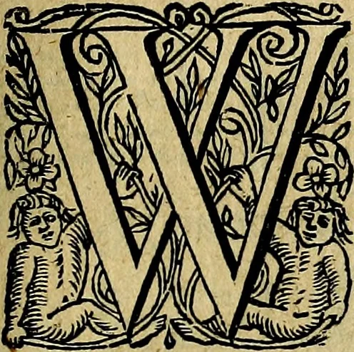 An illustration from Ian Harmensz Kruls. Minne-spiegel ter deughden, 1639, leaf 184