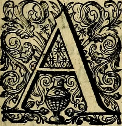 An illustration from Ian Harmensz Kruls. Minne-spiegel ter deughden, 1639, leaf 220
