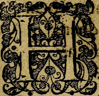 An illustration from Ian Harmensz Kruls. Minne-spiegel ter deughden, 1639, leaf 294