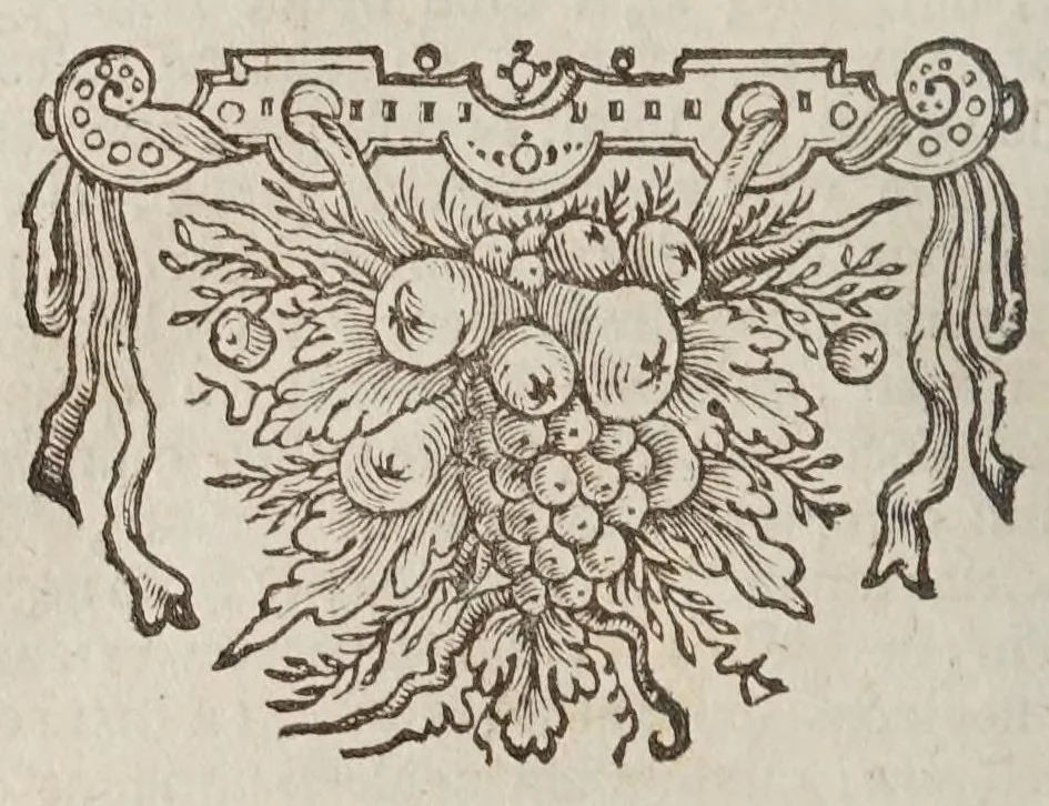 An illustration from Iani Nicii Erithraei Pinacotheca imaginum, illustrium, doctrinae vel ingenii laude, virorum : qui, auctore superstite, diem suum obierunt, 1643, leaf 20