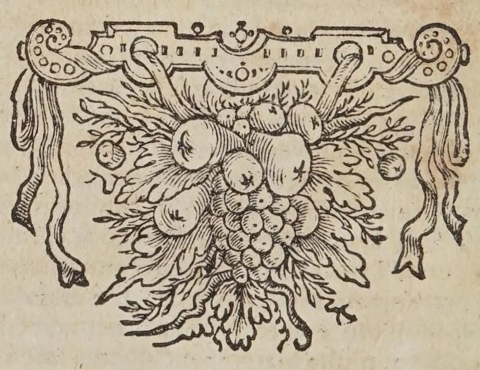 An illustration from Iani Nicii Erithraei Pinacotheca imaginvm, illvstrivm, doctrinae vel ingenii laude, virorvm : qui, auctore superstite, diem suum obierunt, 1645, leaf 316