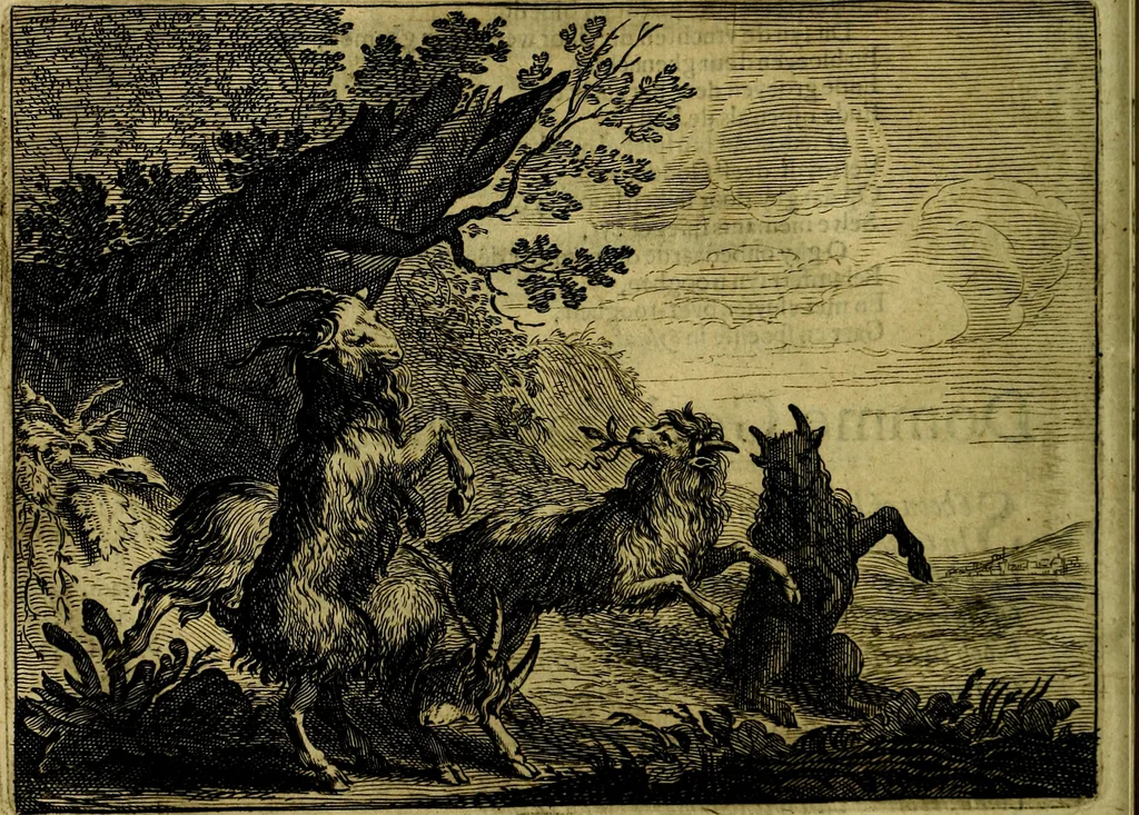 An illustration from Ian vander Veens zinne-beelden, oft Adams appel. Verciert met seer aerdige const-plaeten mesgagers syne oude ende nieuwe ongemeene bruydt-lofs ende zege-zangen..., 1642, leaf 85
