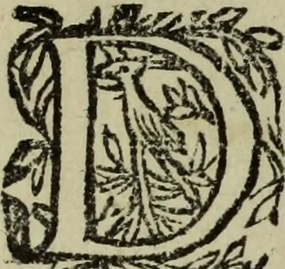 An illustration from Ian van der Veens Zinne-beelden oft Adams appel, 1642, leaf 303
