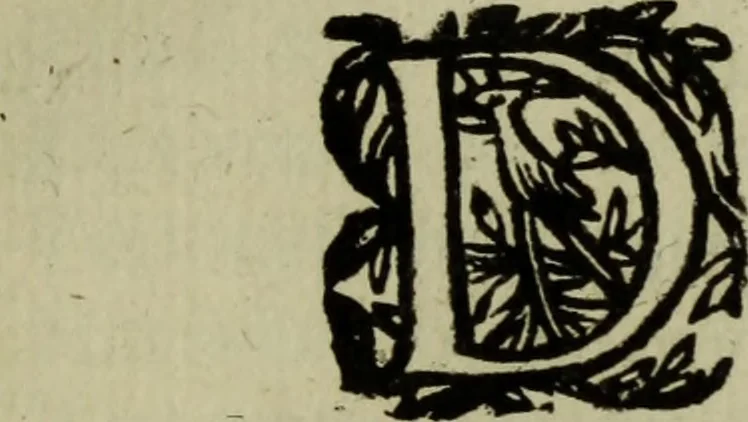An illustration from Ian van der Veens Zinne-beelden oft Adams appel, 1642, leaf 314