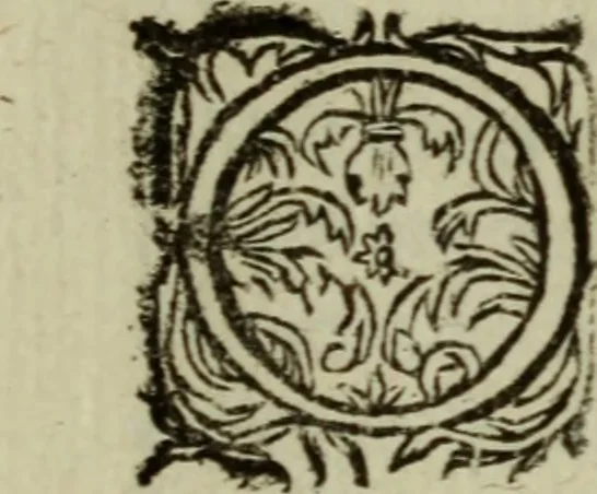 An illustration from Ian van der Veens Zinne-beelden oft Adams appel, 1642, leaf 377