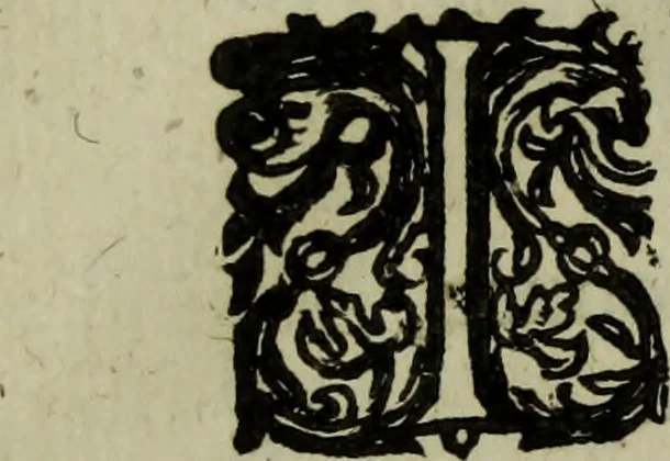 An illustration from Ian van der Veens Zinne-beelden oft Adams appel, 1642, leaf 384