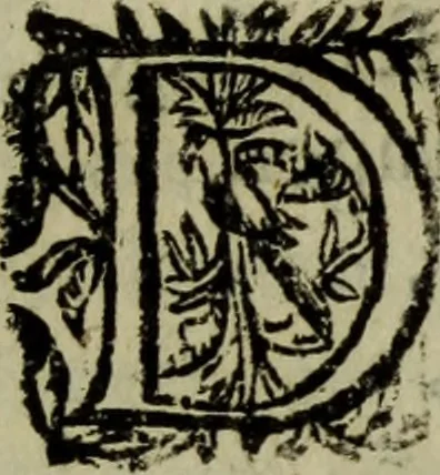 An illustration from Ian van der Veens Zinne-beelden oft Adams appel, 1642, leaf 530