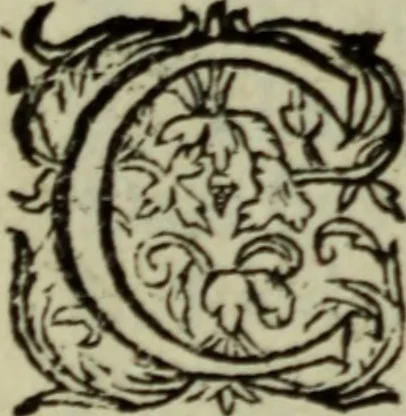 An illustration from Ian van der Veens Zinne-beelden oft Adams appel, 1642, leaf 537