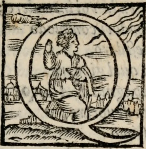 An illustration from I Bernardi, comedia di M. Francesco d'Ambra .., 1564, leaf 14