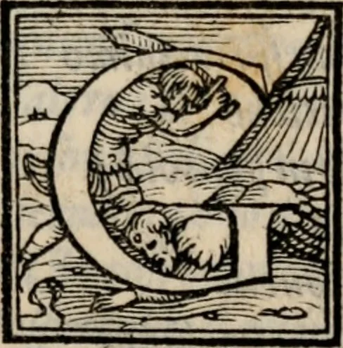 An illustration from I Bernardi, comedia di M. Francesco d'Ambra .., 1564, leaf 32