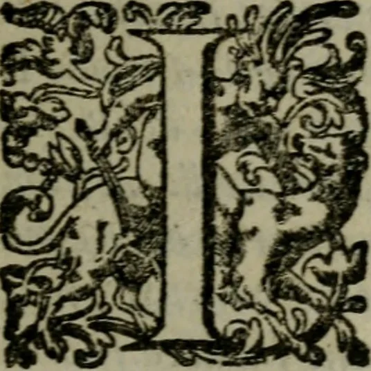 An illustration from I capitani. Con alcuni discorsi curiosi, 1607, leaf 20