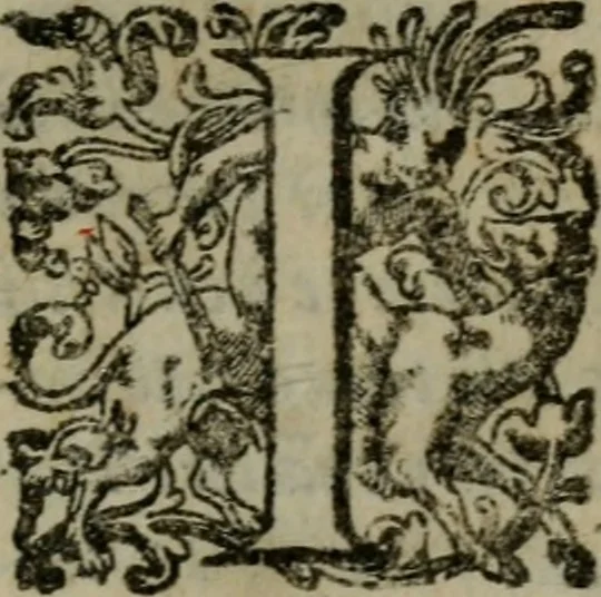 An illustration from I capitani. Con alcuni discorsi curiosi, 1607, leaf 212