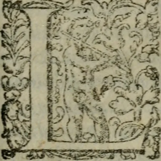 An illustration from I capitani. Con alcuni discorsi curiosi, 1607, leaf 222