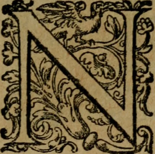 An illustration from I capitani. Con alcuni discorsi curiosi, 1607, leaf 234
